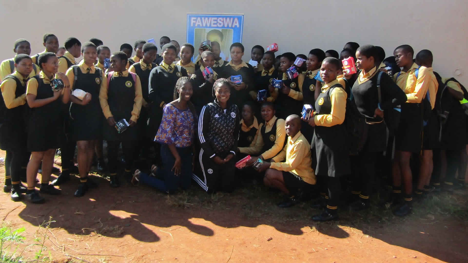Forum for Africa Women Educationalists Eswatini (FAWEESWA)